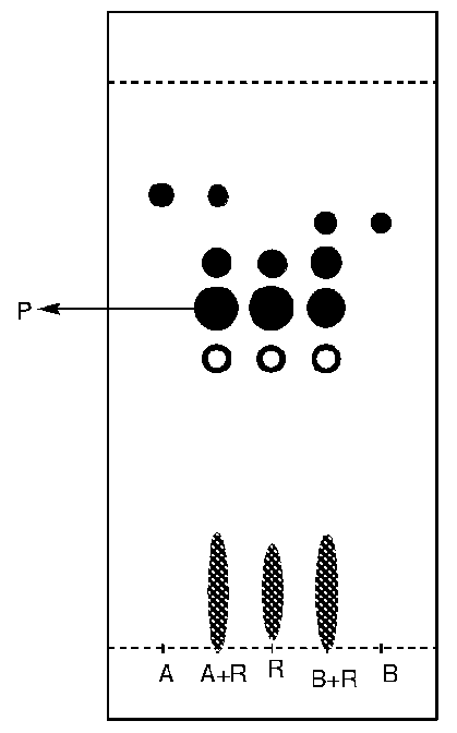 Figure imgf000071_0002