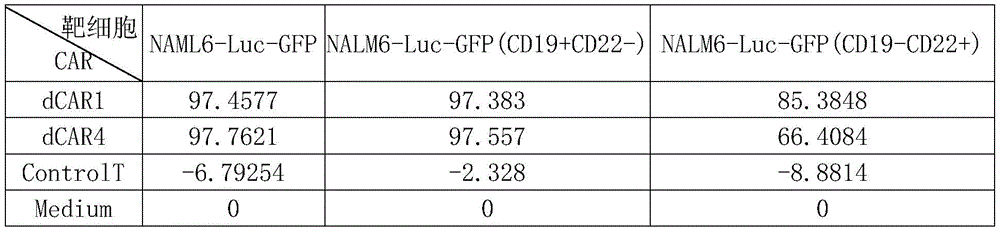 Figure BDA0003394632760000121