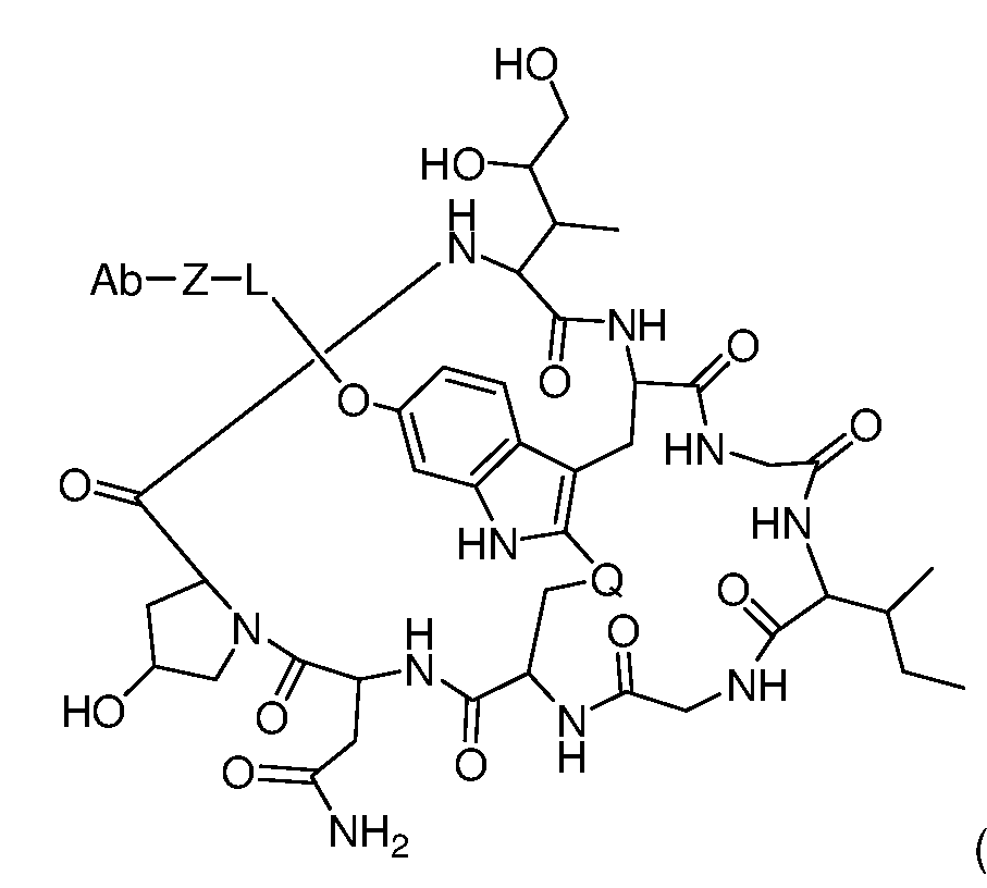 Figure imgf000012_0001