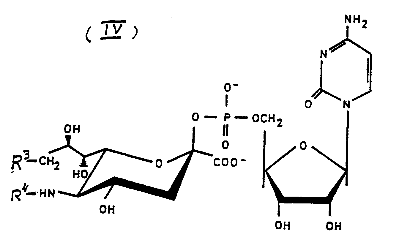 Figure imgf000028_0001