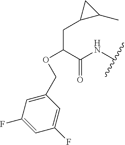 Figure US20100009966A1-20100114-C00202