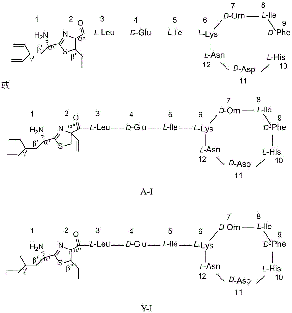 Figure BDA0002317786890000081