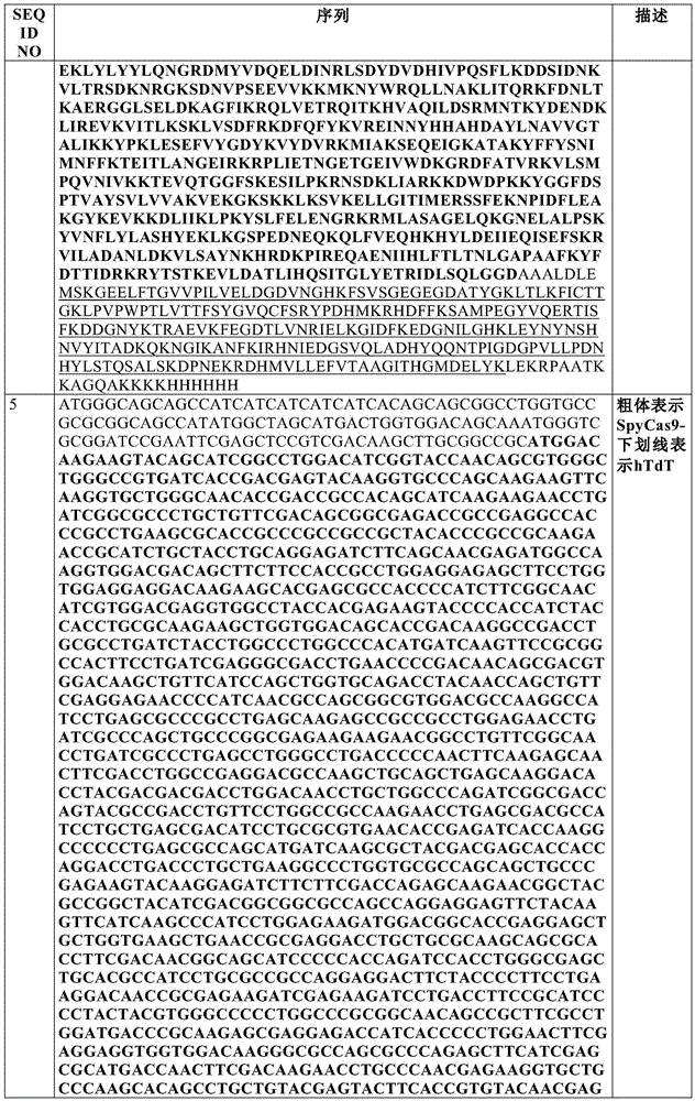 Figure BDA0002550795540000801