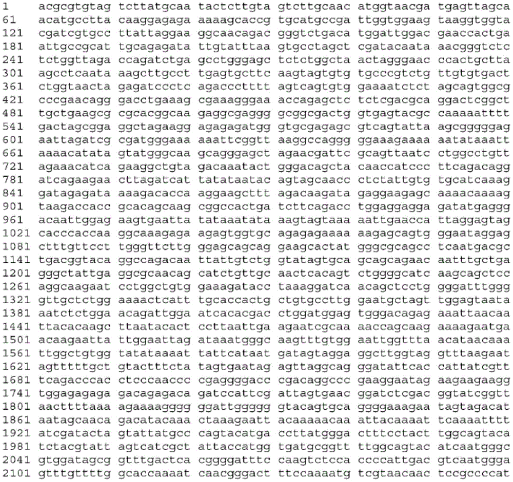 Figure BDA0003465582640001322