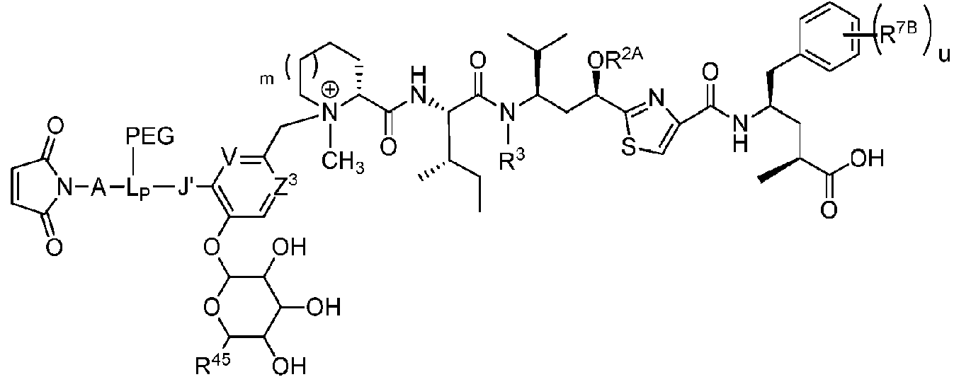 Figure imgf000065_0002