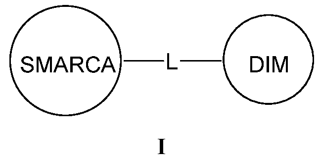 Figure imgf000005_0001