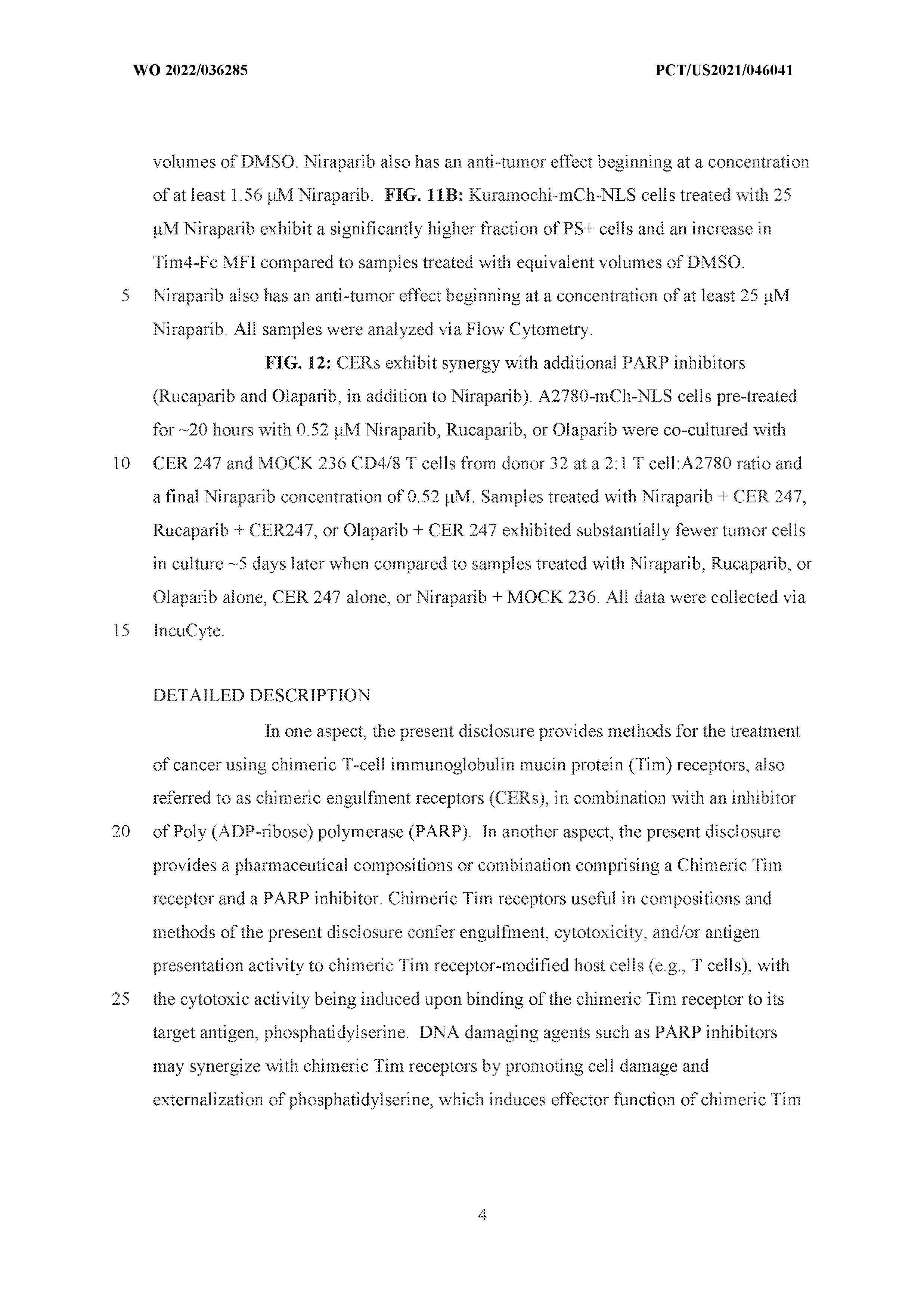 Figure imgf000006_0001