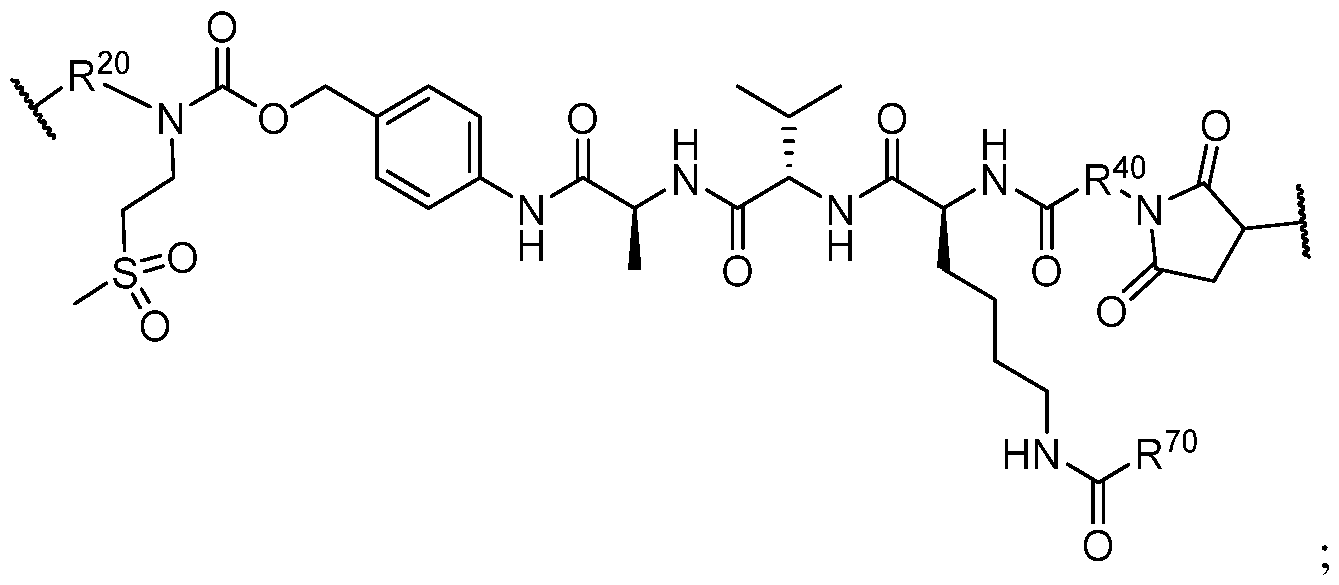 Figure imgf000212_0001