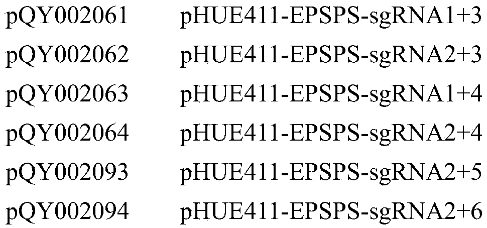 Figure PCTCN2020126747-appb-000031
