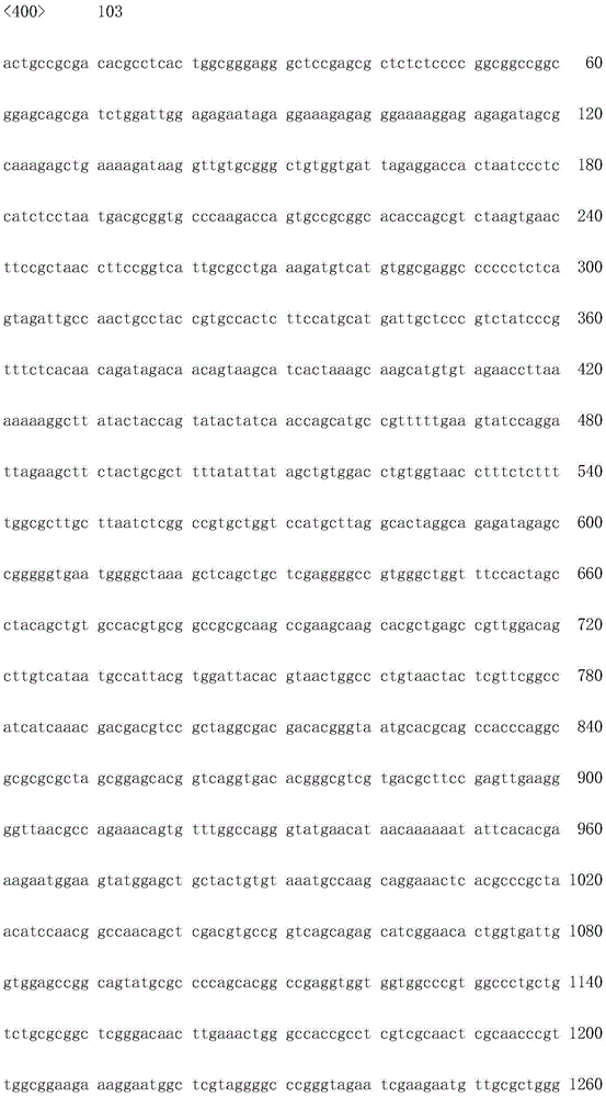 Figure IDA0001706936810001631