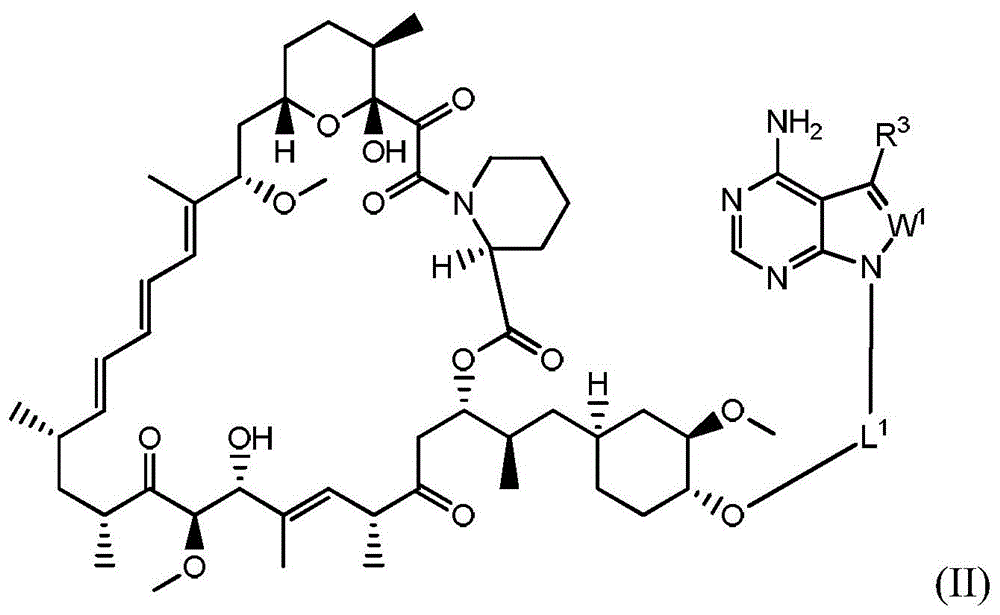 Figure FDA0003080200980000061