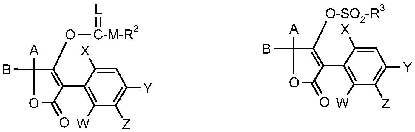 Figure imgf000009_0002