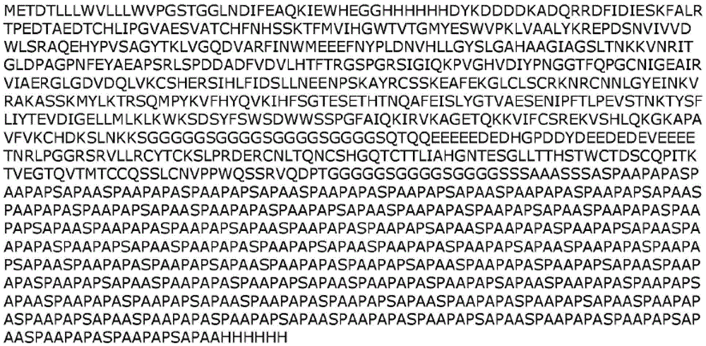 Figure BDA0003169474240000613