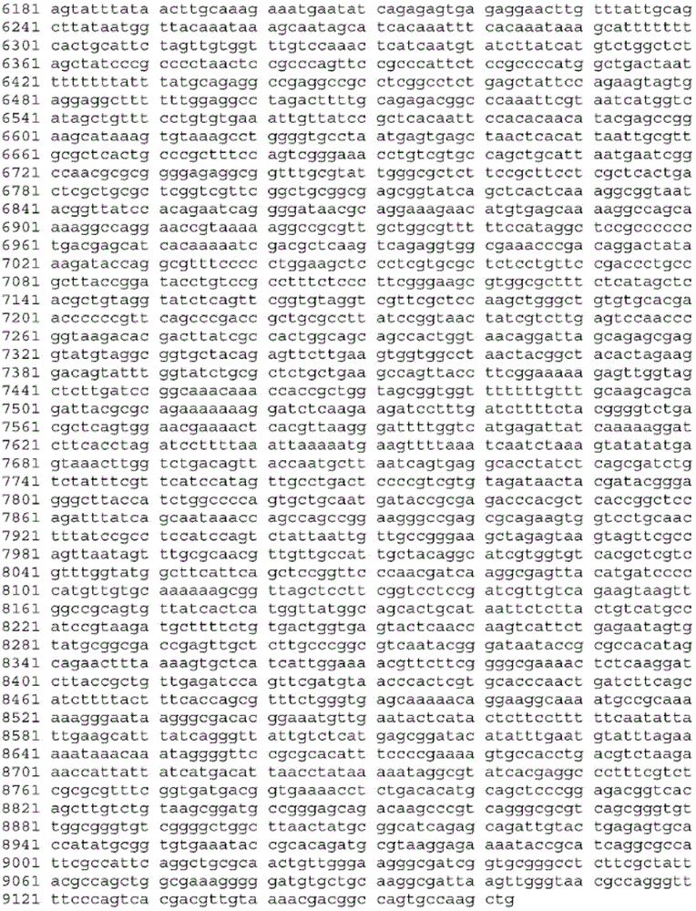 Figure BDA0003465582640001191