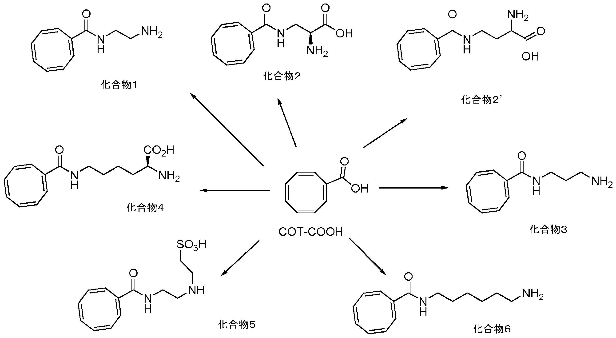 Figure 2023510454000071