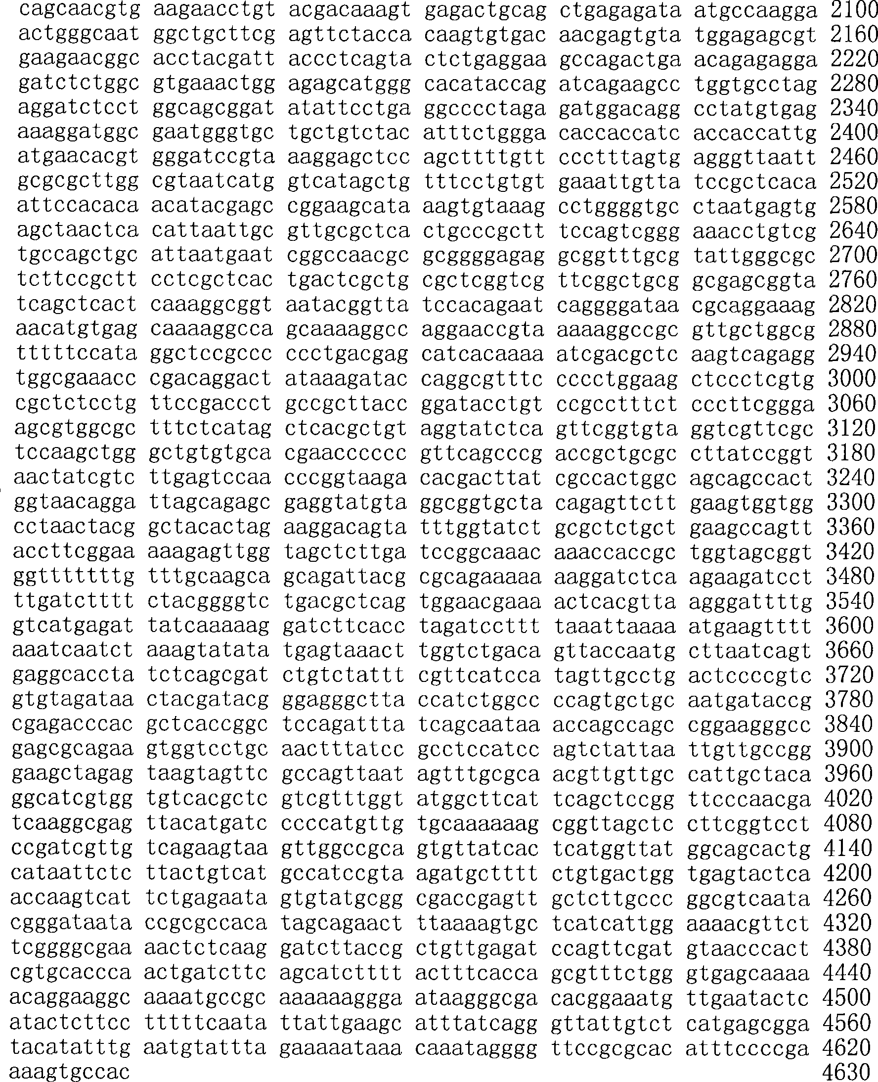 Figure A200780009494D02061