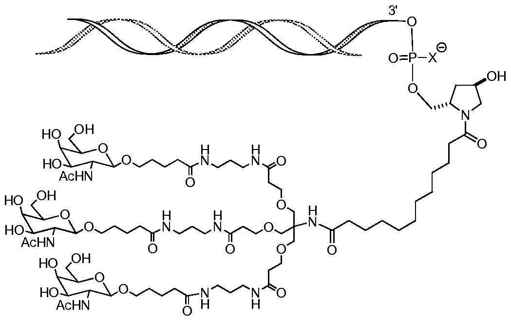 Figure imgf000006_0002