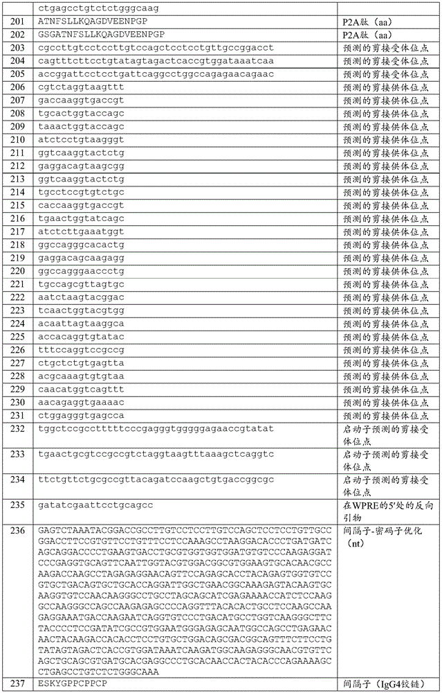 Figure BDA0003980595070001671