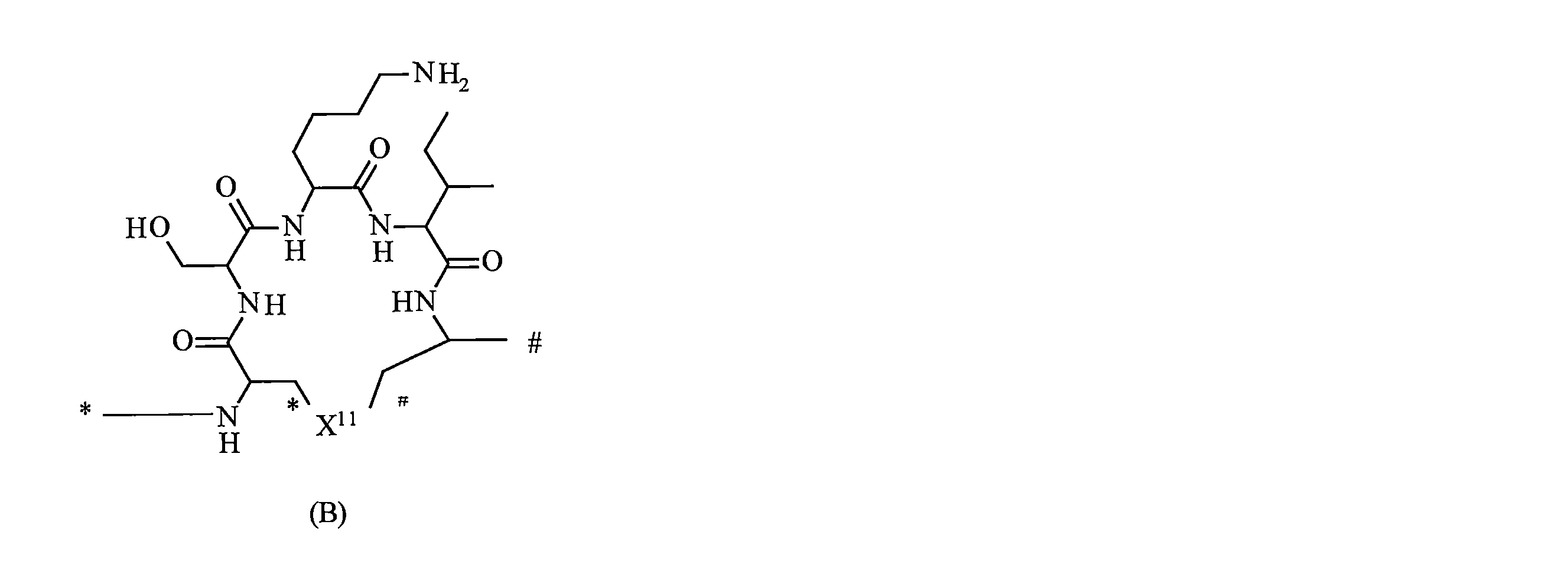 Figure 2022537369000022