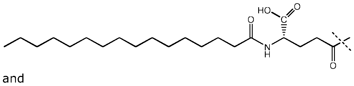 Figure imgf000002_0001