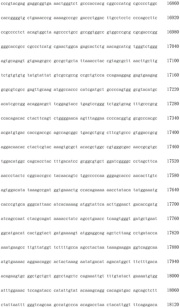 Figure IDA0002872168960001941