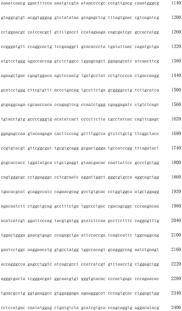 Figure IDA0002872168960001571