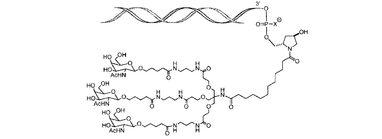 Figure 0007602507000002