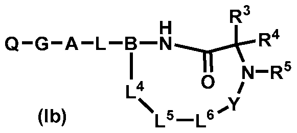 Figure imgf000011_0002