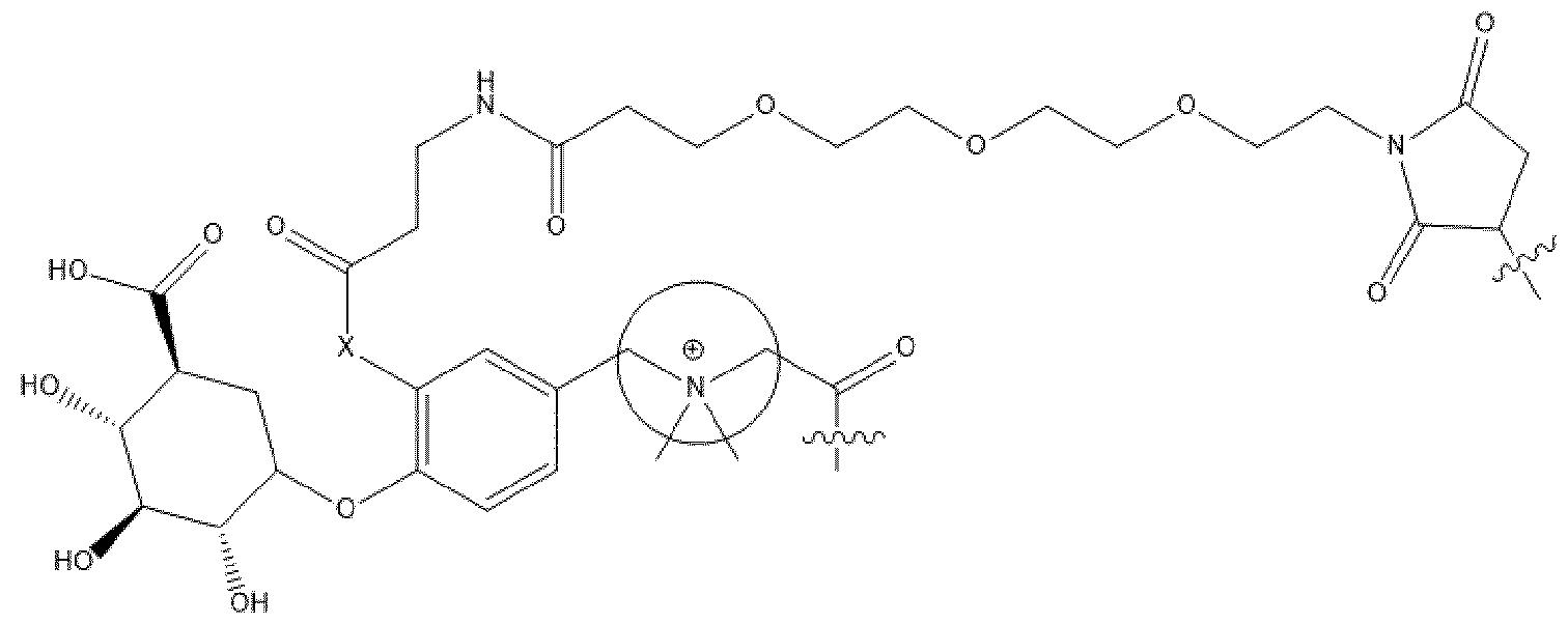 Figure imgf000017_0002