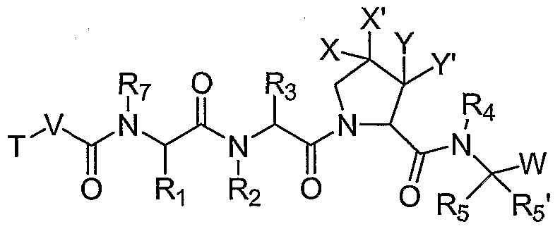 Figure imgf000007_0001