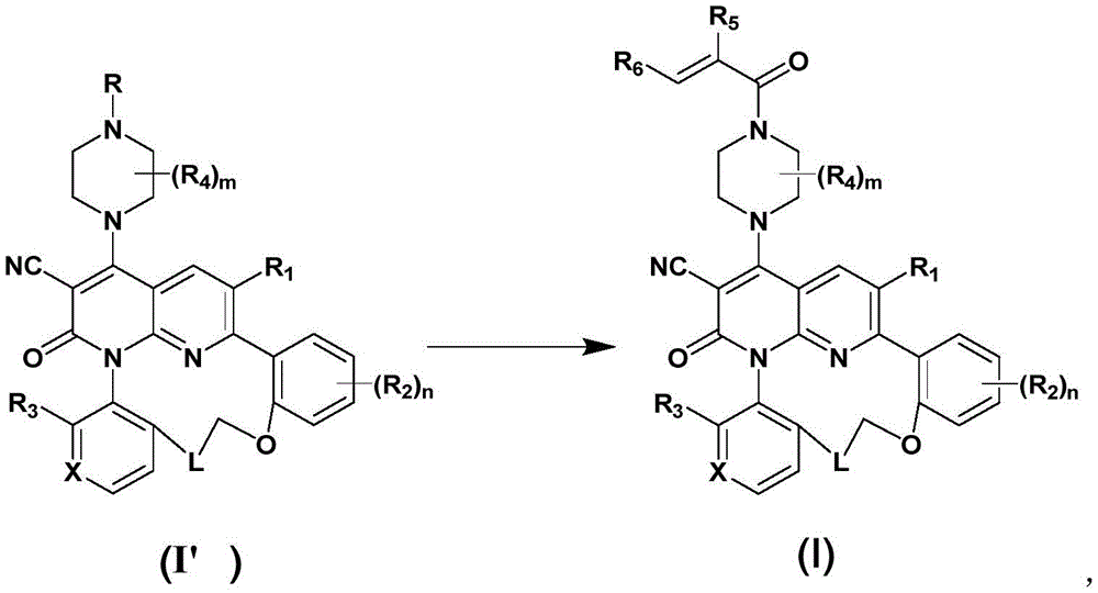 Figure FDA0003535562340000102