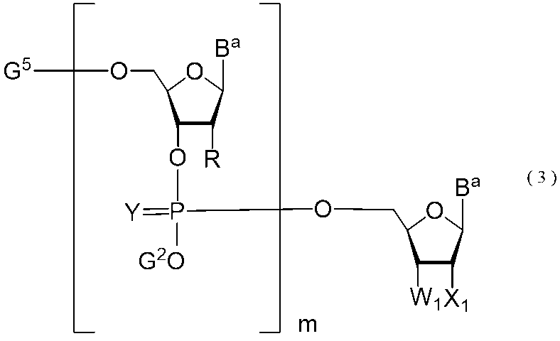 Figure JPOXMLDOC01-appb-C000013