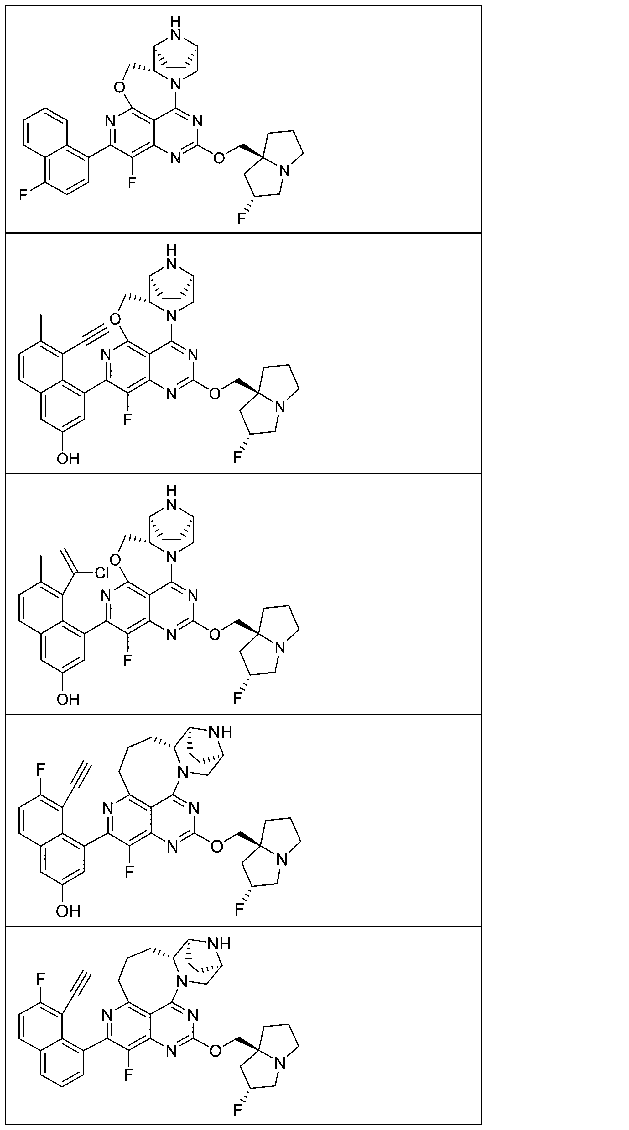 Figure 2025513258000085