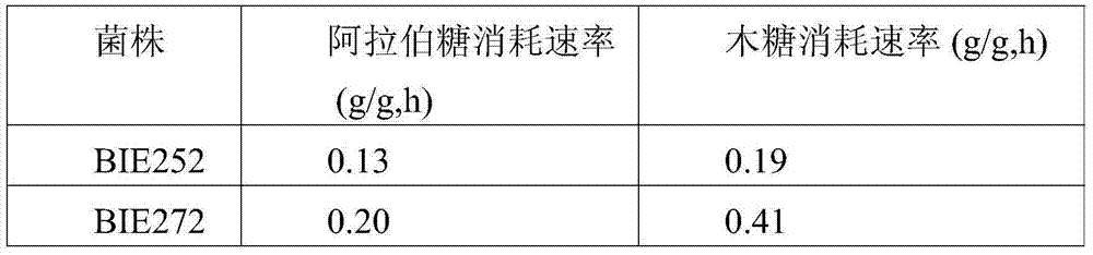 Figure BDA0000399974350000551