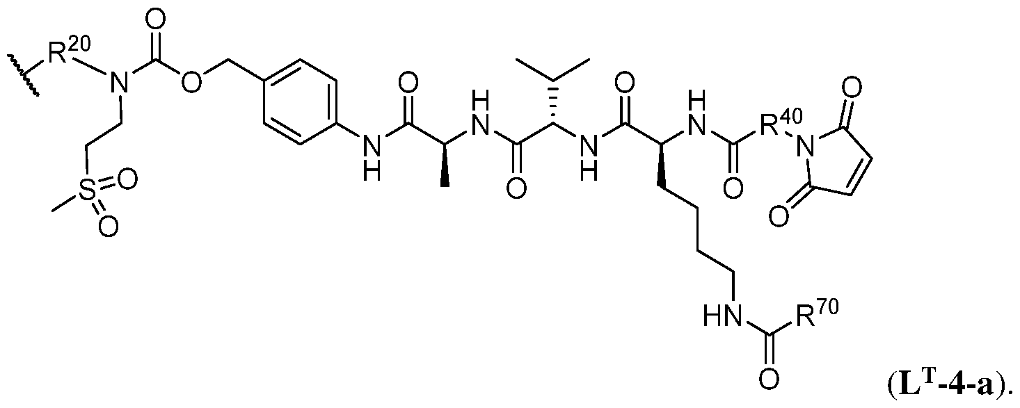Figure imgf000106_0001