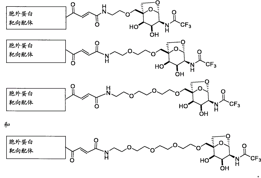 Figure BPA0000324887470000941