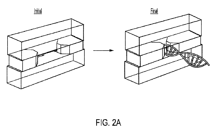 Figure 2024515449000001