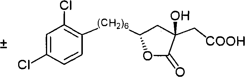 Figure GPA00001011168300293