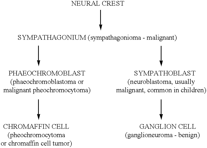 Figure US06350455-20020226-C00001