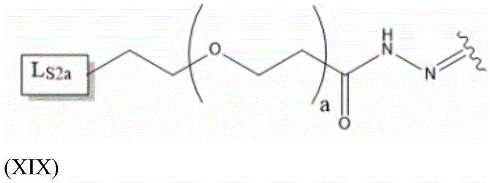 Figure FDA0004086040560000141