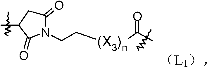 Figure GPA0000255740330000052