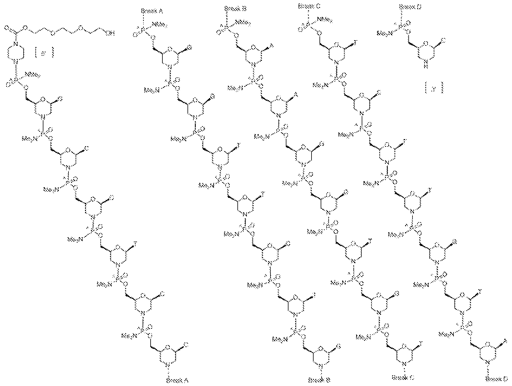 Figure imgf000079_0001
