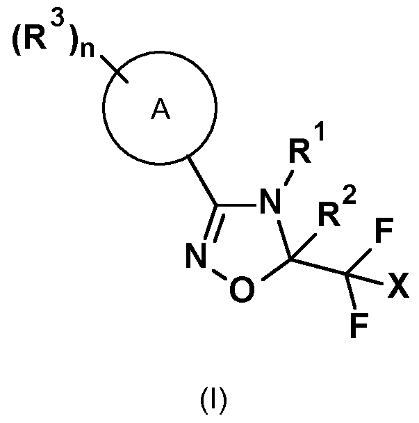 Figure imgf000019_0001