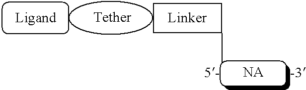 Figure US20070105803A1-20070510-C00119