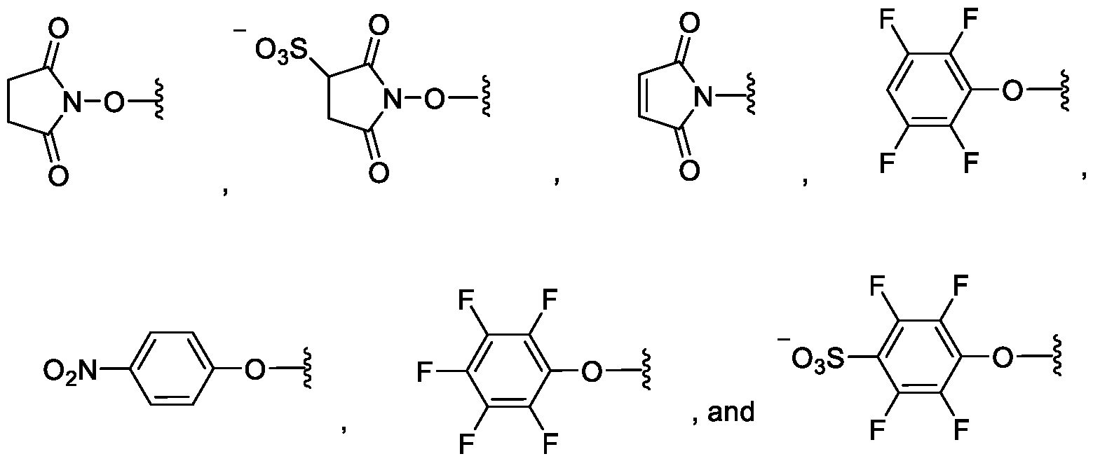 Figure imgf000172_0001