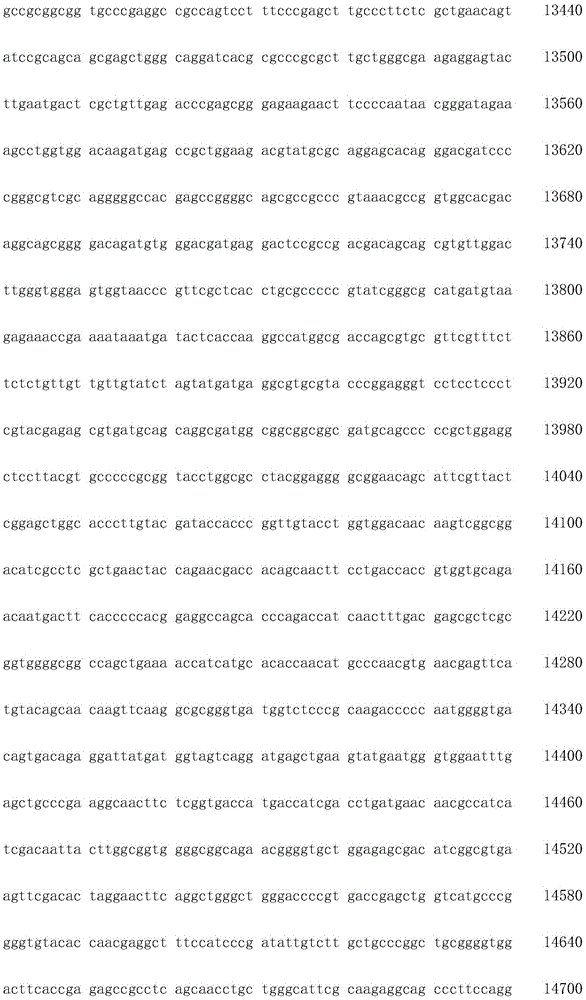 Figure IDA0002872168960001141