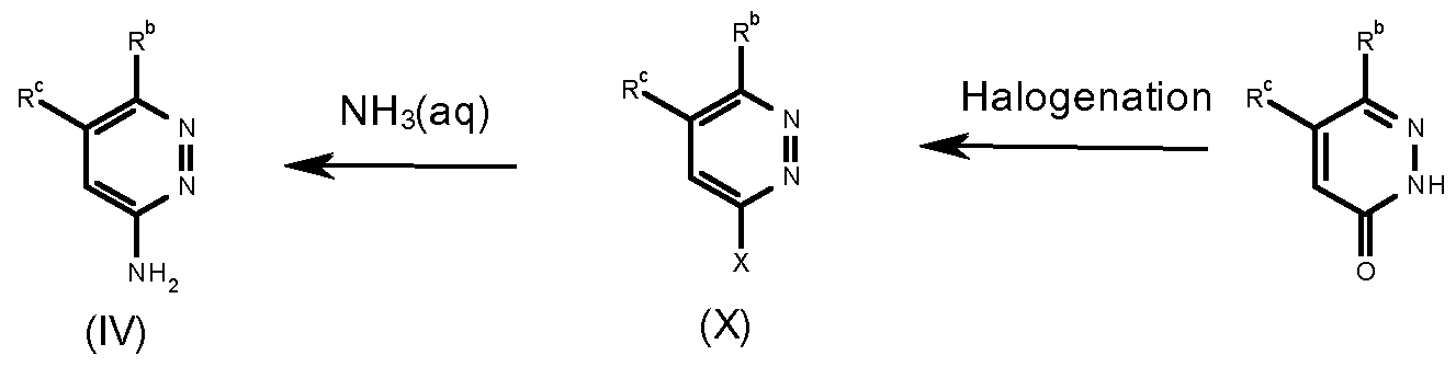 Figure imgf000016_0001
