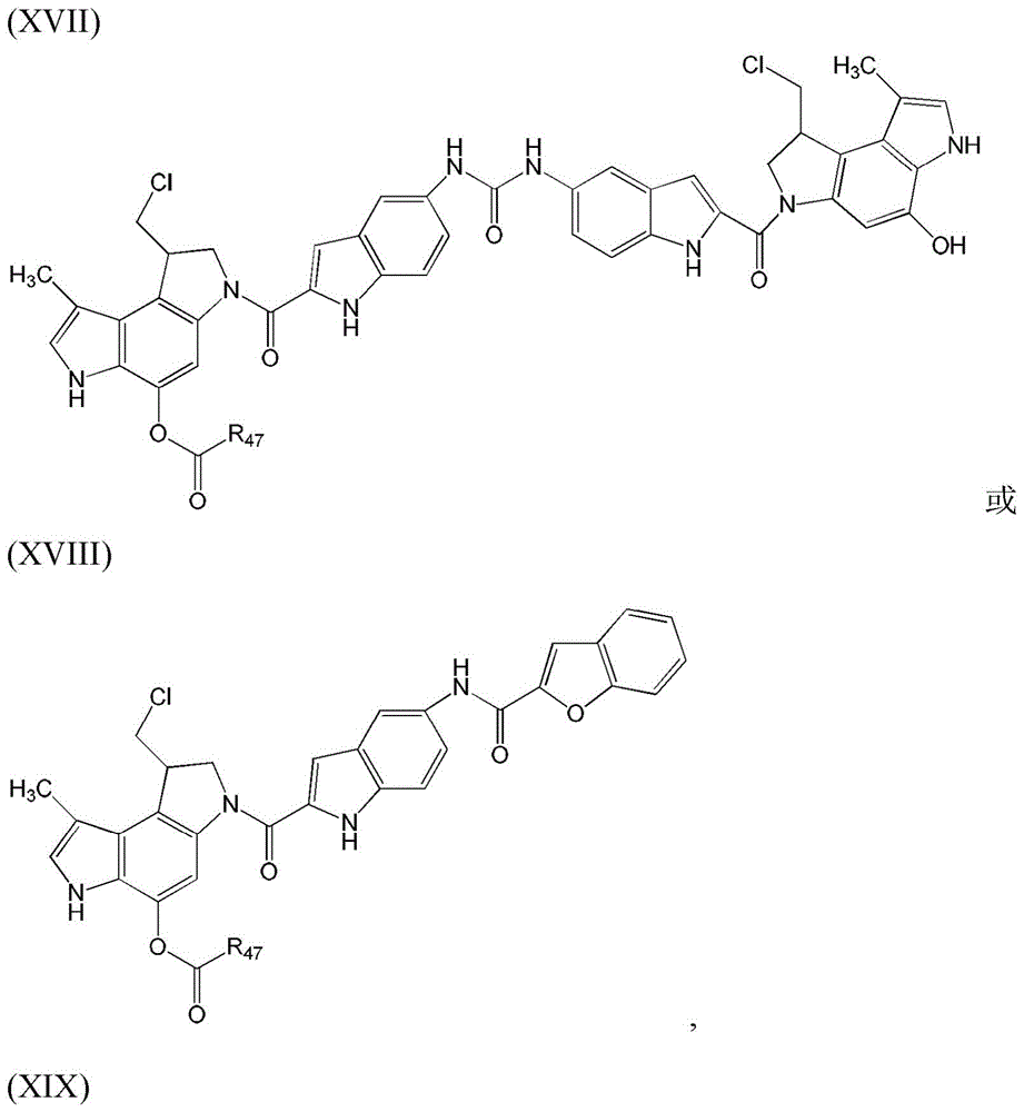 Figure BDA0003135424430001311