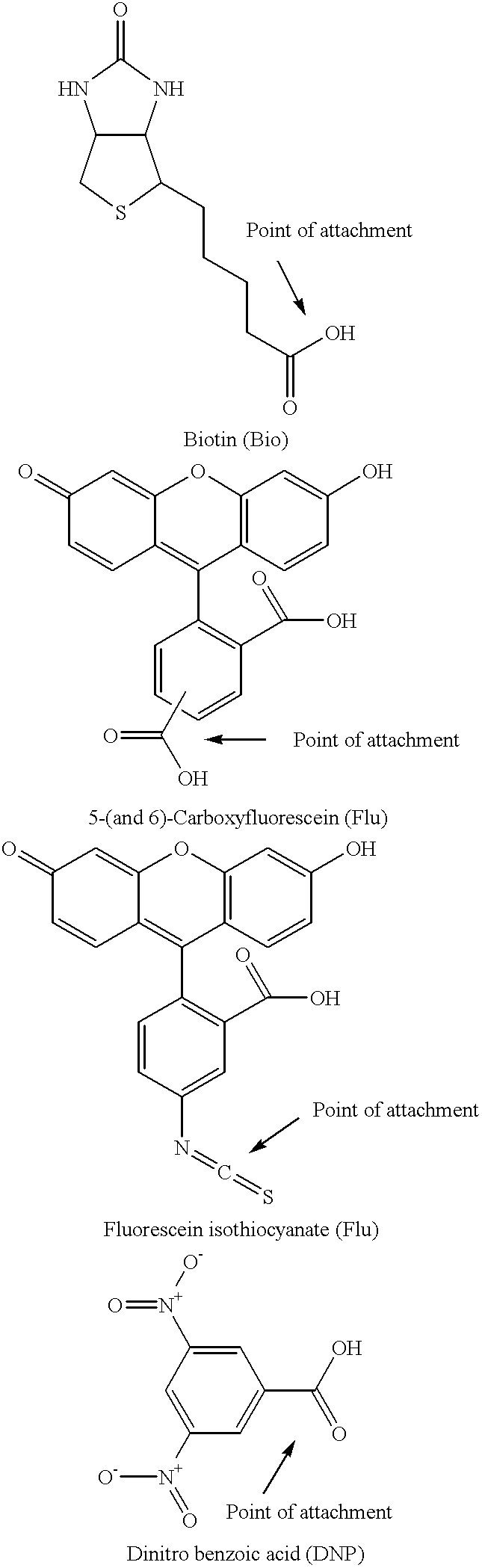 Figure US06169169-20010102-C00002