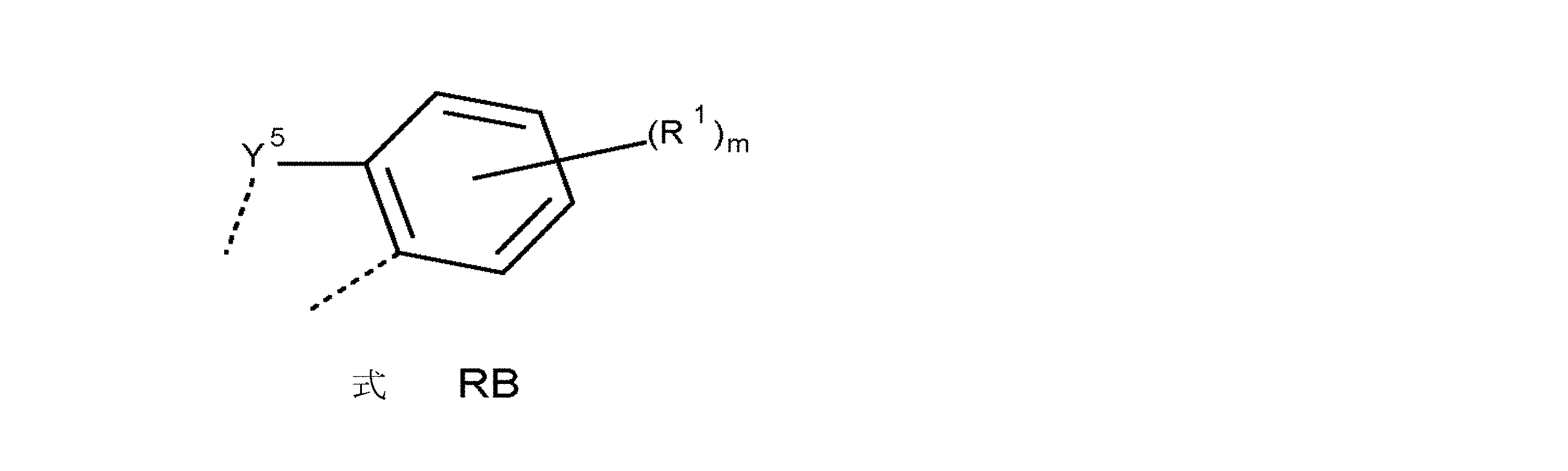 Figure 2023506572000078